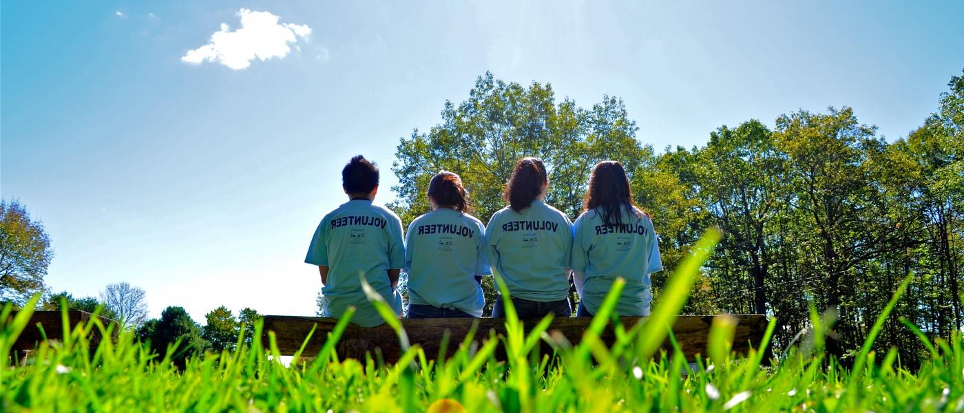 四名药学专业的学生穿着志愿者的衬衫，肩并肩坐在室外的长凳上