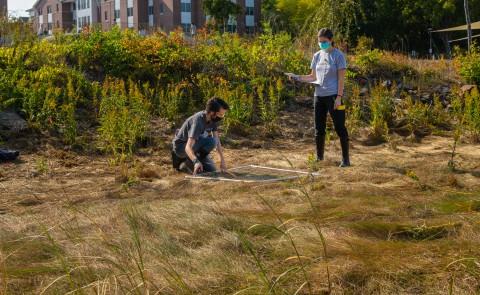 Students in Pam Morgan's Gulf of Maine Field Studies course spent their semester researching the feasibility of creating one or more "living shorelines" along UNE's Biddeford Campus. 