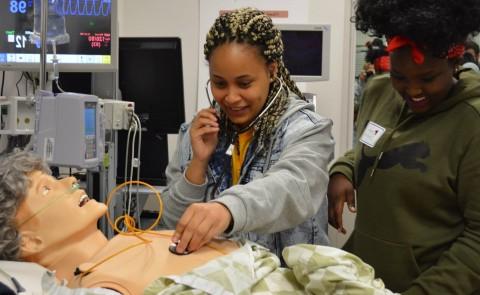 两个学生在病人模拟人体模型上练习使用听诊器