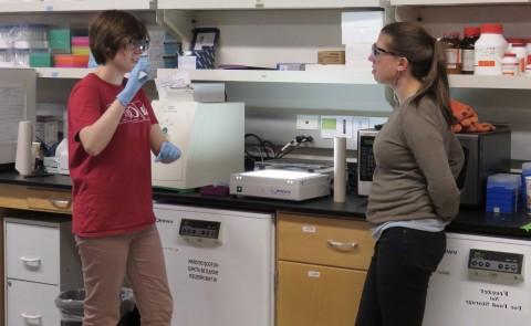 伊娃·罗斯·巴洛格和学生研究员劳拉·马文在实验室